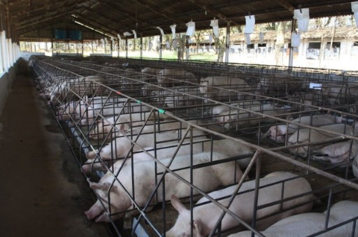 養殖水處理用什么環保設備