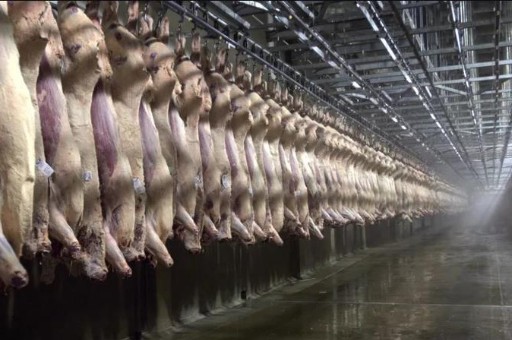 廢氣處理設備環保設備有哪些公司